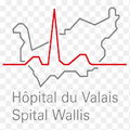 Logo Spital Wallis